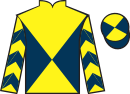 Jockey silks for First Angel (FR)
