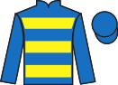 Jockey silks for Tiny Tetley