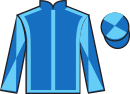 Jockey silks for Thankyou Baroness