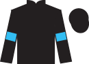 jockey silks