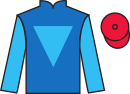 jockey silks