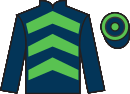 jockey silks