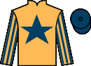 jockey silks