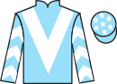 jockey silks