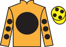 jockey silks