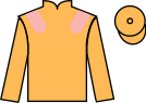 jockey silks