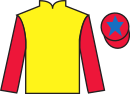 jockey silks