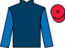 Jockey silks for Galileo Dame (IRE)