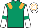 Jockey silks for Hunting Gold (IRE)