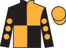 Jockey silks for Lady Litigator (IRE)