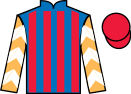 Jockey silks for Red Hat Eagle