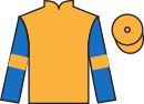 jockey silks