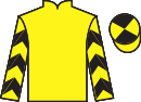 jockey silks