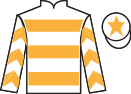 jockey silks