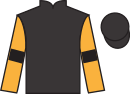 jockey silks