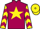 Jockey silks for Sagonige