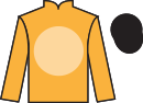 Jockey silks for Diamond Geezer (IRE)