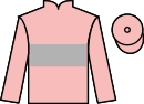 Jockey silks for Shoeshine Boy (IRE)