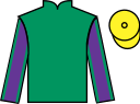 Jockey silks for Ballyfort (IRE)