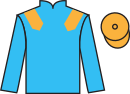 Jockey silks for Gennadius