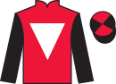 Jockey silks for Henry Tudor