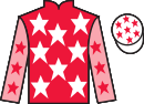 Jockey silks for Michonne