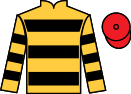 Jockey silks for Mutley Crew (FR)