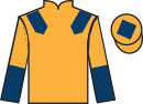 jockey silks