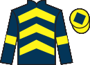 jockey silks
