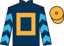 jockey silks