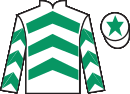 jockey silks