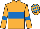jockey silks