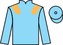 jockey silks