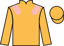 jockey silks