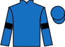 jockey silks