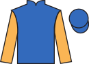 jockey silks