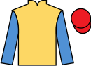 jockey silks