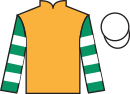 jockey silks