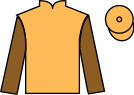 jockey silks