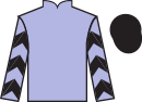 Jockey silks for Hellion (IRE)