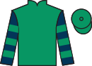 Jockey silks for Always A Reason (IRE)