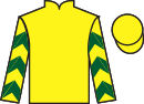 Jockey silks for Devon Skies