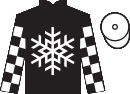 Jockey silks for Snow Princess