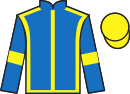 Jockey silks for Saytarr