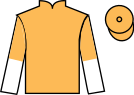 Jockey silks for Willem Twee