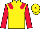 Jockey silks for Don Simon (IRE)