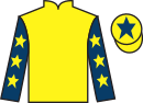 Jockey silks for Aajej