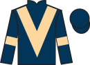 Jockey silks for Time Turner