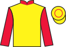 Jockey silks for Mr Slicker (FR)