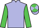 Jockey silks for Expert Agent